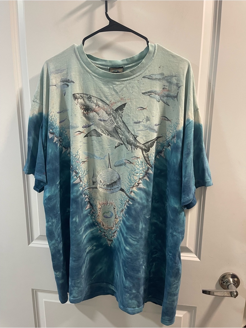 Liquid Blue Ocean Shark Graphic Tee in Teal and Navy Have Some Flawed
